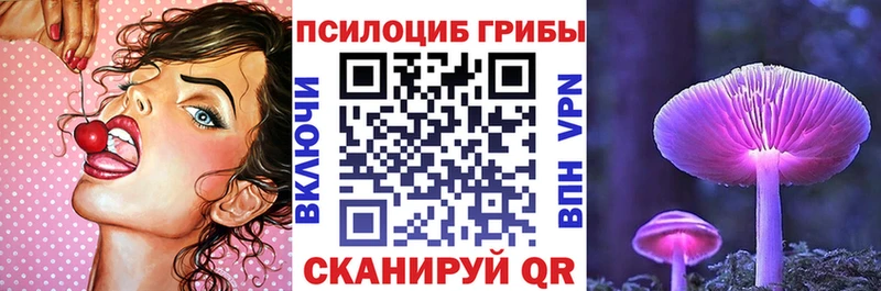 Псилоцибиновые грибы мицелий  Купить  Петухово 